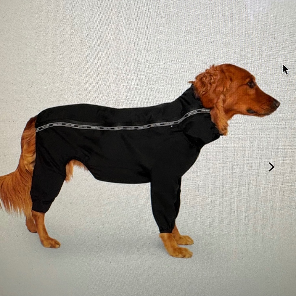 Dog rain jacket